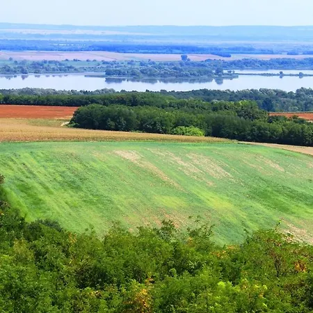 Apartment Kis Balaton Vendeghaz *